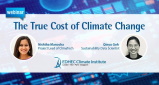 The True Cost of Climate Change – Alter Cop 29