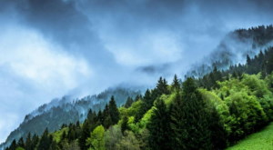 Clarifying Hidden Ethics in Climate Investing