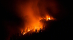 Tribuca - Feux de forêt : cette entreprise niçoise veut aider les pompiers à anticiper la propagation des incendies