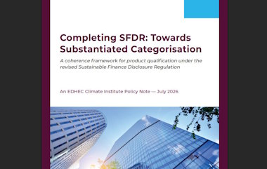 Publication - Completing SFDR: Towards Substantiated Categorisation