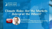 A Great Success for the Webinar ‘Climate Risks: Are the Markets Asleep at the Wheel?’