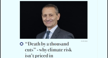 Death by a thousand cuts - why climate risk isn’t priced in, Net Zero Investor